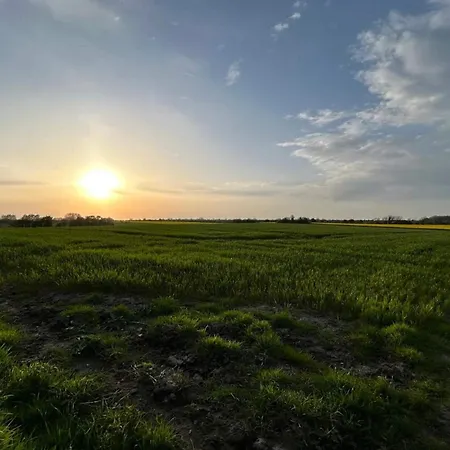 8 Person In Haderslev-by Traum 펜션 *